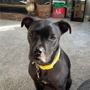 Meet your Posher, Marina